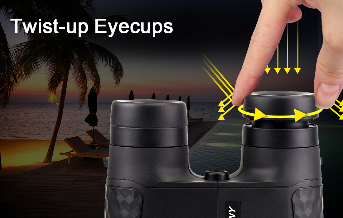 SV30 10x42mm Fixed Focus Binoculars